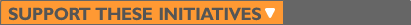 Support page title