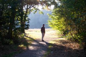 Man's silhouette in Autumn sun