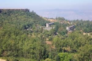 View of Asia Plateau buildings and forest, taken from Table land.
Forestation was done mainly by natural propagation, once the environment was protected from destruction.
							