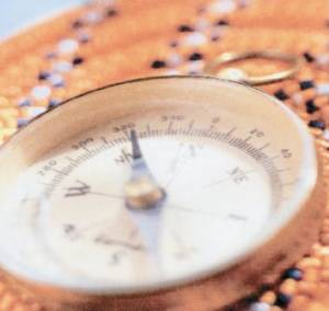 Compass
							