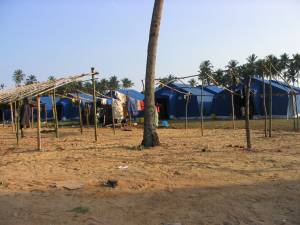 After the Tsunami in Sri Lanka