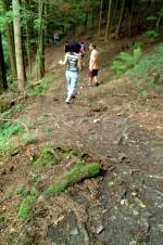 Path on Journey