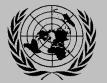 UN Logo