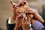 Global Food Crisis 