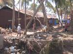 Tsunami damage in India