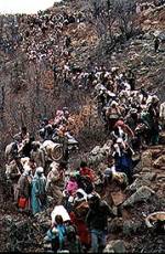 Refugees