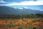 The Hex River Valley